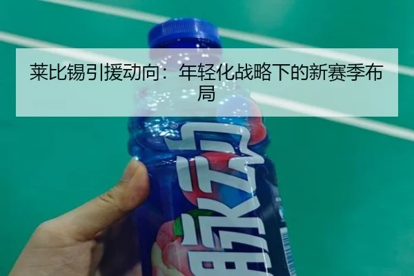 莱比锡引援动向：年轻化战略下的新赛季布局